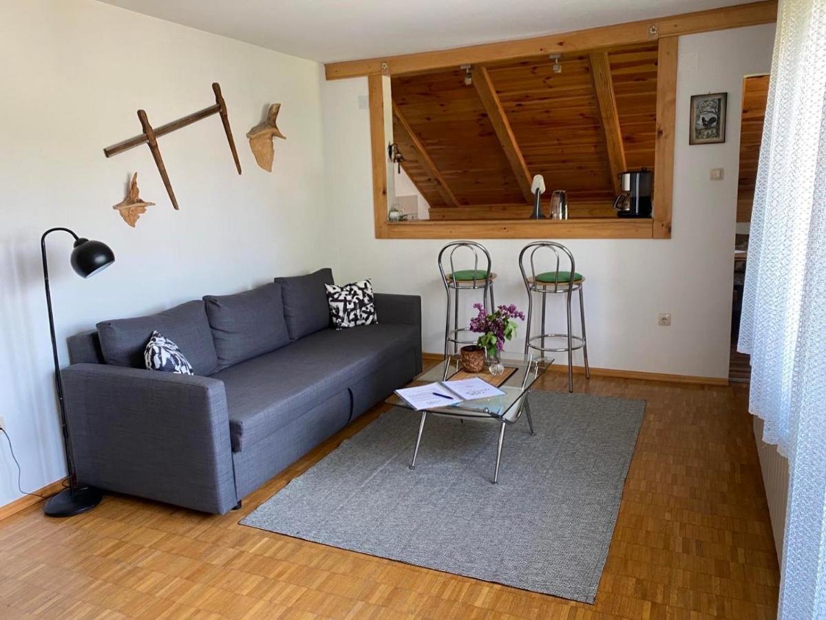 Apartmani Gruzdovo Delnice Exterior foto